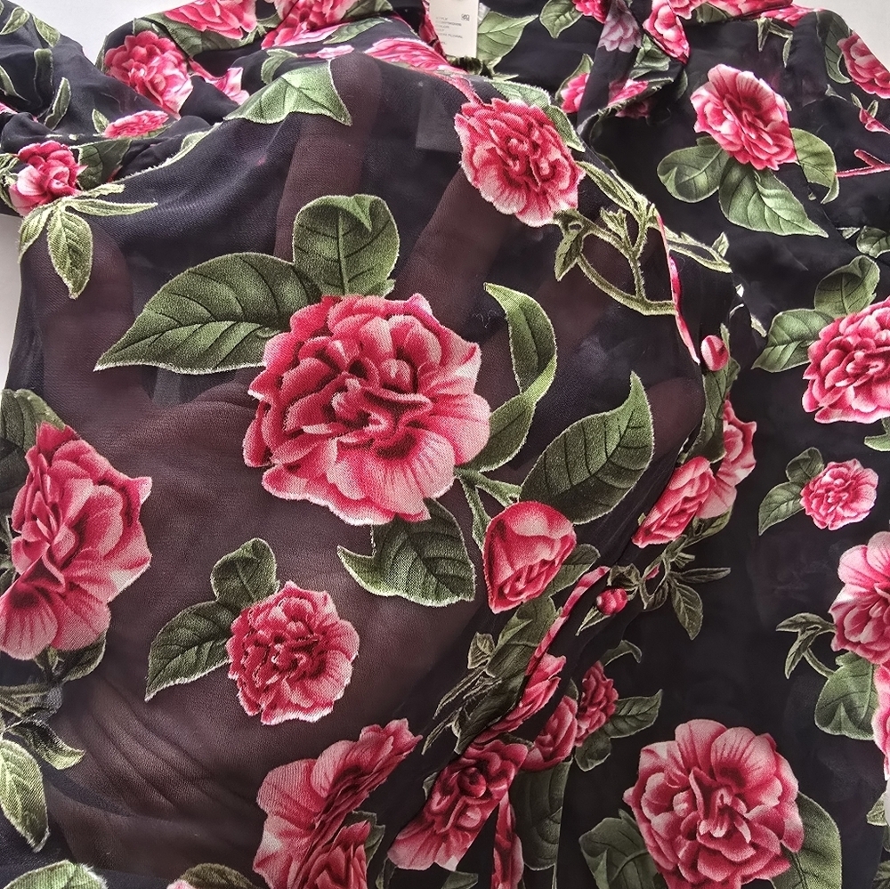 Alice and Olivia Eloise Floral Button Down Sheer Blouse Size XS - Picture 3 of 12